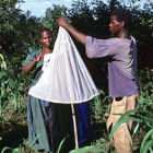 Setting up a tsetse fly trap