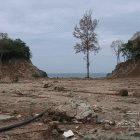 The 2004 Indian Ocean tsunami caused many human casualties and widespread destruction
