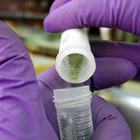 Laboratorio científico