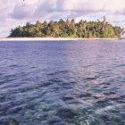 Tuvalu faces an uncertain future thanks to rising sea levels