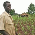 Maize farmer in Uganda