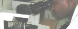 Malaria researcher in lab - SciDev.Net