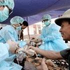 A Vietnamese farmer brings his chickens to be vaccinated against bird flu