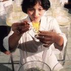 New guidelines may help reduce fraud in Chinese research