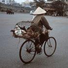 Vietnam has reported fresh outbreaks of bird flu in flocks in the north and south of the country