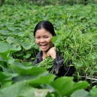 Vietnamese farmer