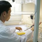 Vietnamese researcher