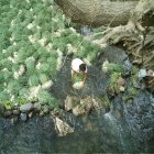 Wastewater