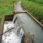 Mini canal surrounded by paddy fields to channel water from the river to the micro hydro power generator in Cibuluh, Indonesia