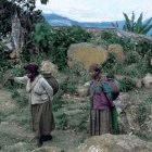 Before the arrival of tap water, women in the Arsi region of southern Ethiopia walked six hours a day to collect water.