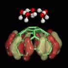 Five water molecules just above a carbon nanotube tip. 