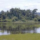 wetland in Vietnam