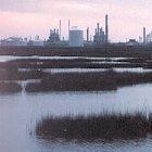Wetlands and industry are both key sources of the greenhouse gas methane