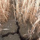 The map will help predict droughts 