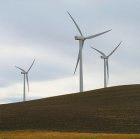 Japan will help Egypt build a wind farm near Cairo