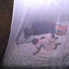 Bednets can cut child deaths from malaria by 20 per cent