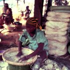 Woman processing cassava