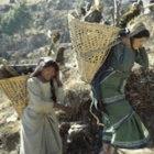Women carrying firewood to a village in Nepal