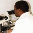 A researcher in Zambia