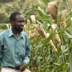 Zimbabwean crop researcher